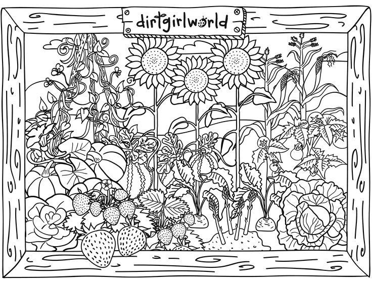 Free Printable Vegetable Garden Coloring Pages Use Your Greens Oranges Yellows And Purples 